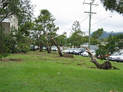 Cairns42 Cyclone Larry